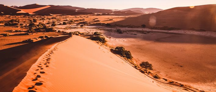 Dünenlandschaft im Namib Naukluft Park