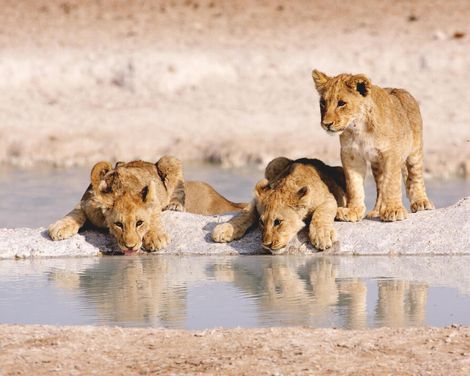 Eine Reise voller Kontraste-3