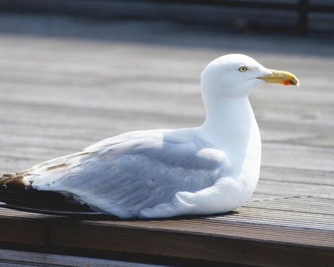 Fahrradabenteuer mit Blick auf das Meer