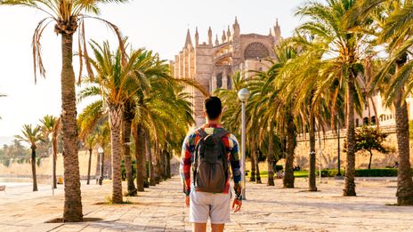 Mann mit einem Rucksack steht in einer Palmenallee mit dem Blick auf die Kathedrale von Palma de Mallorca gerichtet