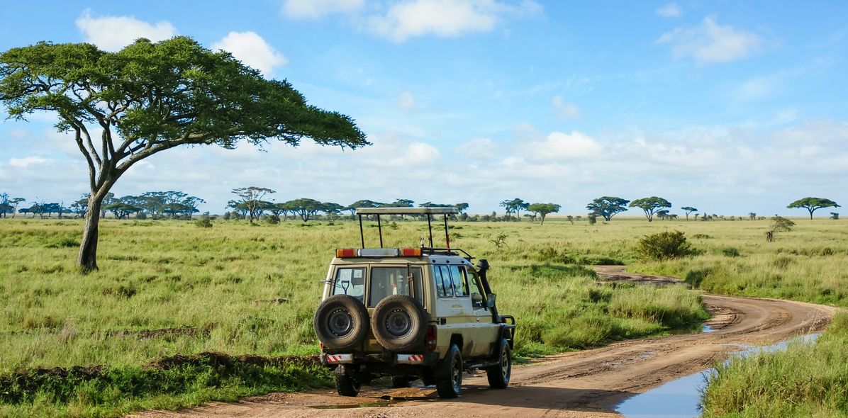 Geländewagen auf Safari