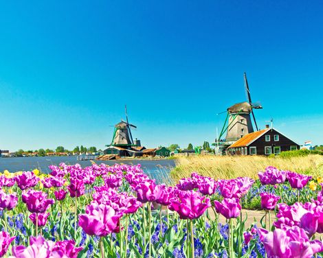 Flusskreuzfahrt per Rad & Schiff mit MS Poseidon ab/an Amsterdam-2