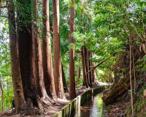 Aktiv entdecken - entspannt genießen-3