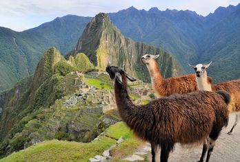 Peru, Bolivien, Chile, Argentinien & Brasilien