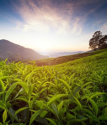 Malaysia - Westmalaysia