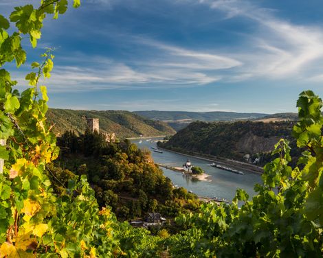 Flusskreuzfahrt mit der RHEIN MELODIE von Köln bis Basel-0